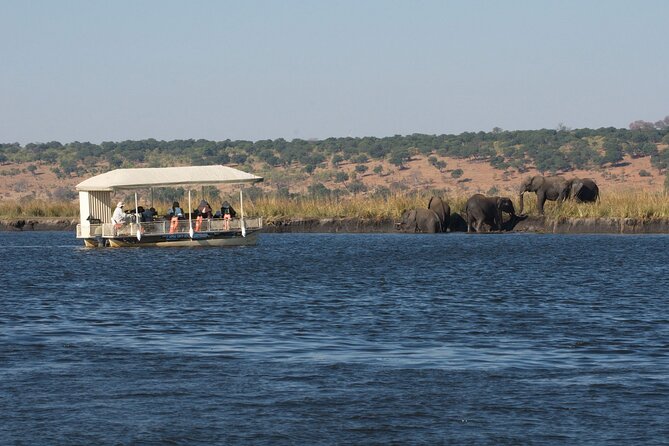 Chobe Day Trip - The 7:30 a.m. pickup from Victoria Falls