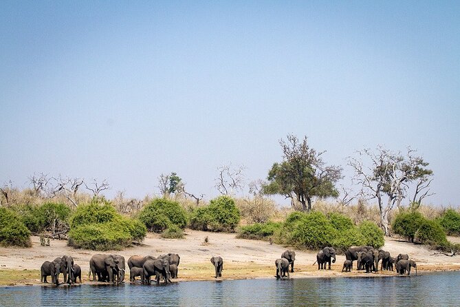 Chobe Day Trip - Is $174 a fair price?