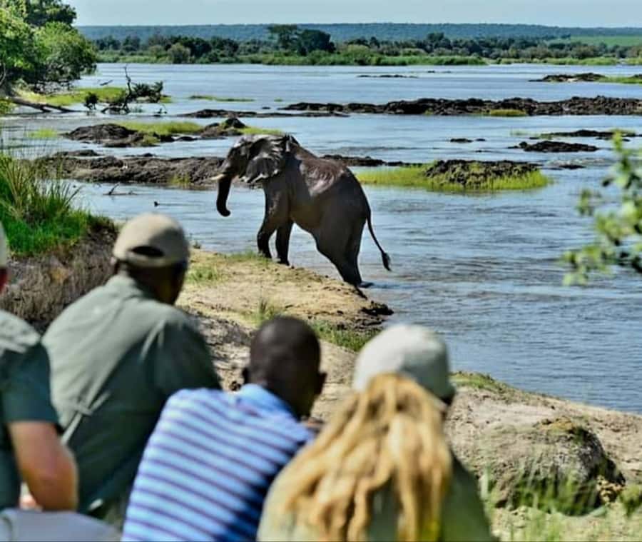 Chobe Day Trip - From Vic Falls - With Lunch (Buffet) - Documents, booking flexibility, and practical preparation