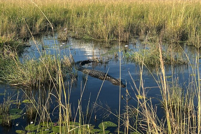 Chobe Day Trip from Victoria Falls - From Victoria Falls to Kazungula at 6:50 a.m.