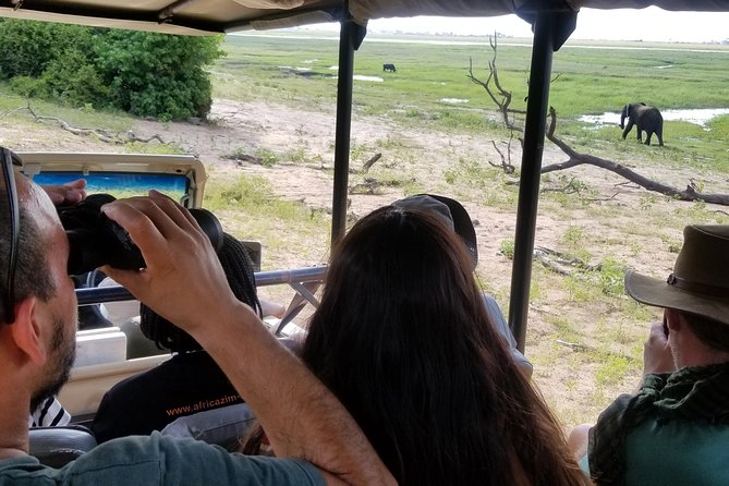 Chobe Day Trip From Victoria Falls Zimbabwe - What the $170 price really covers