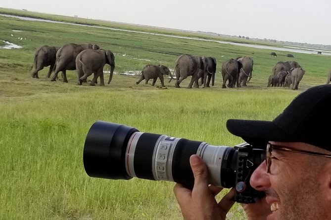 Chobe Day Trip From Victoria Falls Zimbabwe - Who will enjoy this Chobe day trip most?