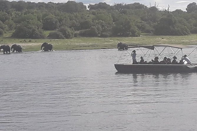 Chobe Day Trip Starting From Victoria Falls - The open Jeep changes the way you search