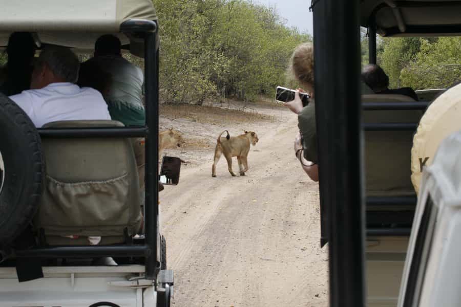 Chobe Extended Day Trip - Why this long Chobe day is worth considering