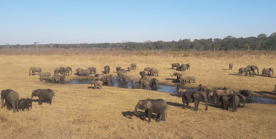 Chobe Extended Day Trip - The 5 a.m. start and the first wildlife sightings