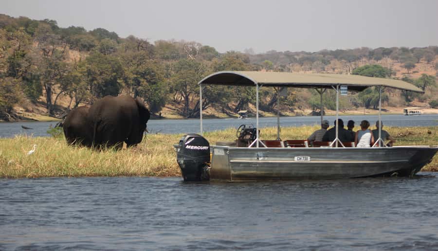 Chobe Extended Day Trip - Lunch at the lodge and a useful pause