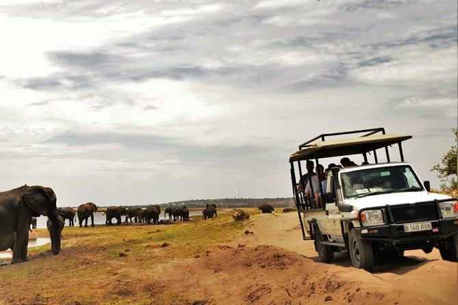 Chobe Extended Day Trip from Victoria Falls - Zimbabwe - Who should book this long safari day?