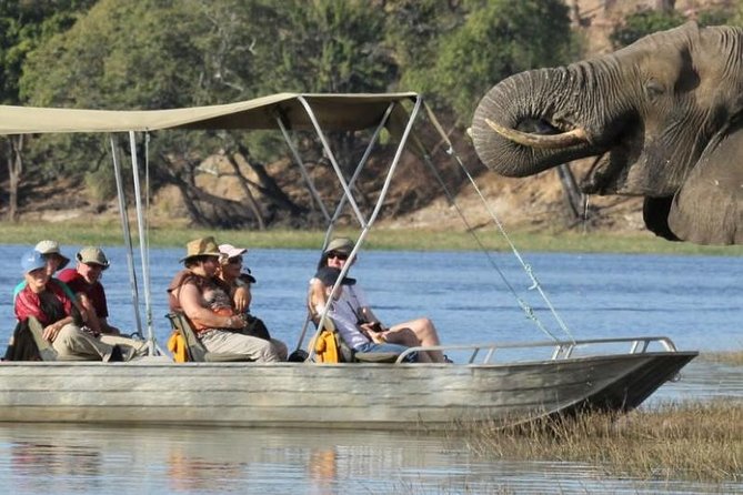 Chobe Extended Day Trip from Victoria Falls - Zimbabwe - The morning game drive in Chobe National Park