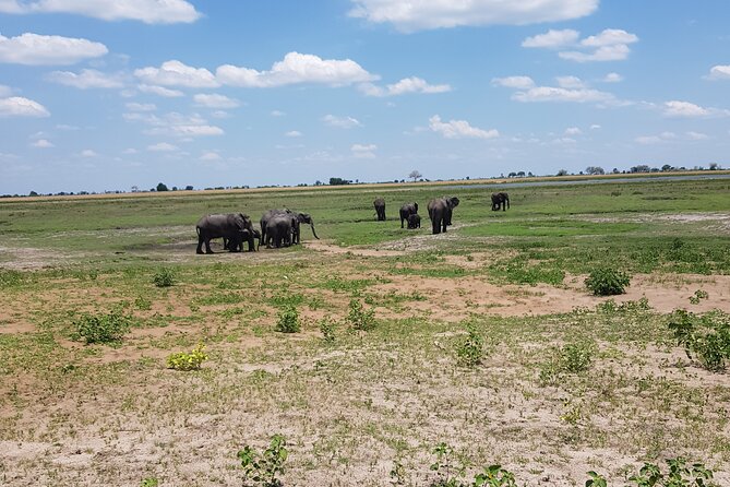 Chobe Full Day Safari in Chobe - Chobe Safari at a Glance