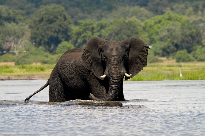 Chobe Full Day Safari Trip - Key points for your Chobe day