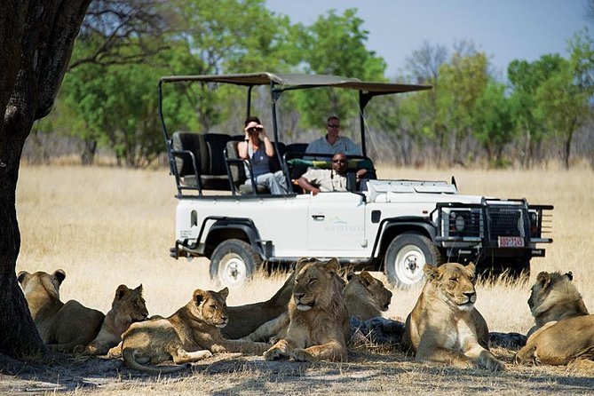 Chobe Full day Safari with Victoria falls Sunrise Tour Combo - Crossing at Kazungula into Botswana