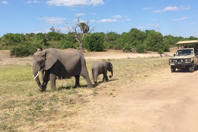Chobe Full day Trip - Practical Tips for a Better Day