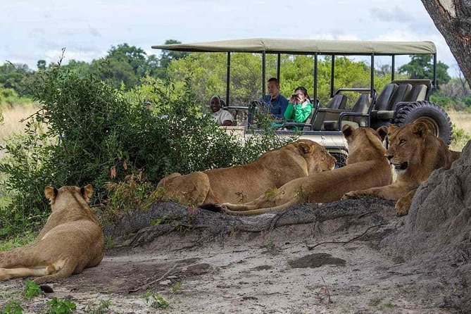 Chobe Full Day Trip From Victoria Falls - The Chobe experience in five useful points