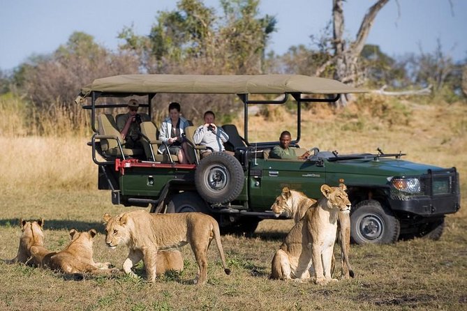 Chobe Full Day Trip From Victoria Falls - The morning game drive in Chobe National Park