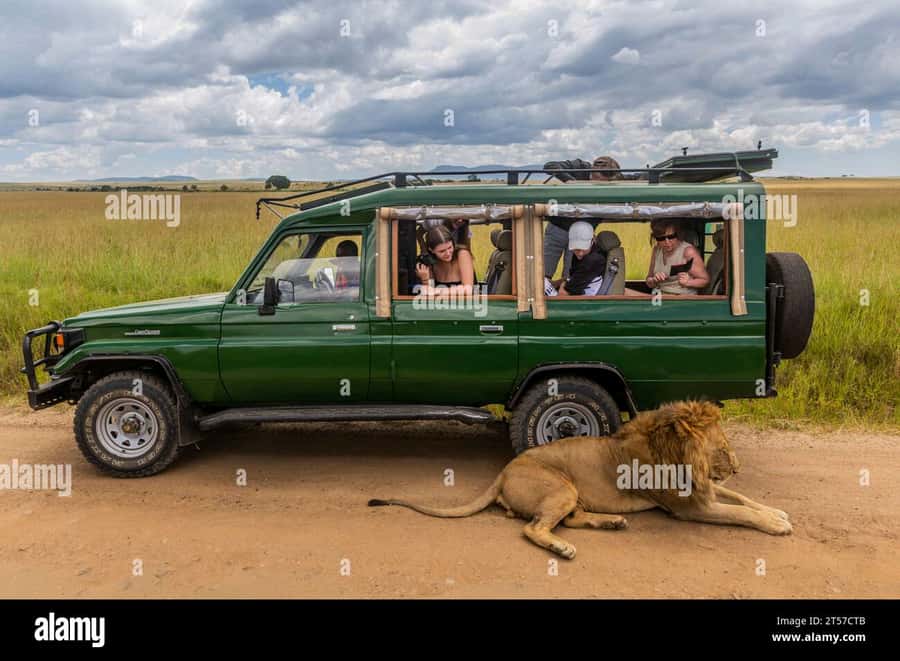 Chobe Half Day Trip from Victoria Falls - Why Chobe Works as a Half-Day Safari from Victoria Falls