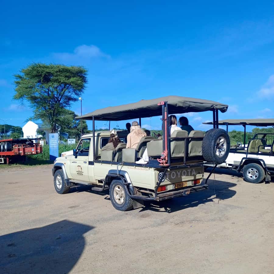 Chobe Half Day Trip from Victoria Falls - Border Documents Can Make or Break the Day