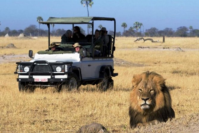 Chobe National Park 4X4 Day Safari and River Cruise - Three hours on the Chobe River