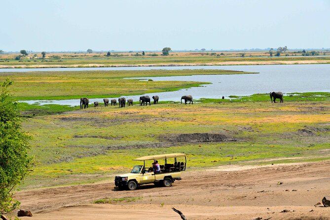 Chobe National Park Day Trip from Victoria Falls with Lunch - Why Chobe works as a day trip from Victoria Falls