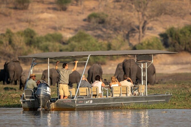 Chobe National Park Day Trip from Victoria Falls with Lunch - The Chobe River cruise: the day’s most distinctive hour