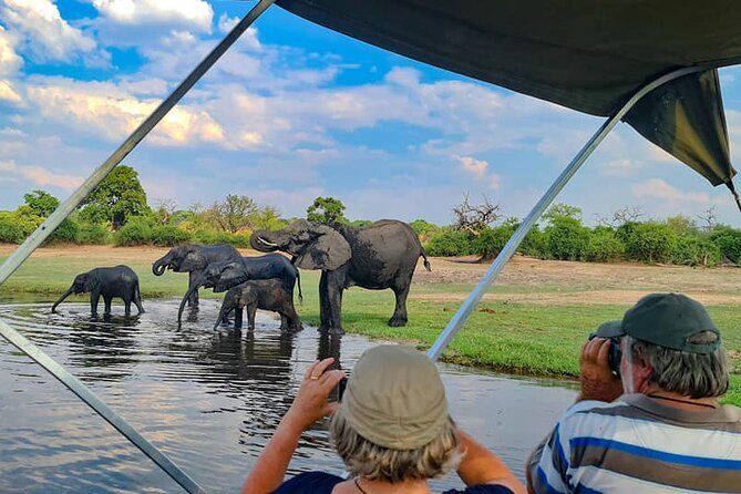 Chobe National Park Day Trip from Victoria Falls with Lunch - The early start and the road to Kazungula