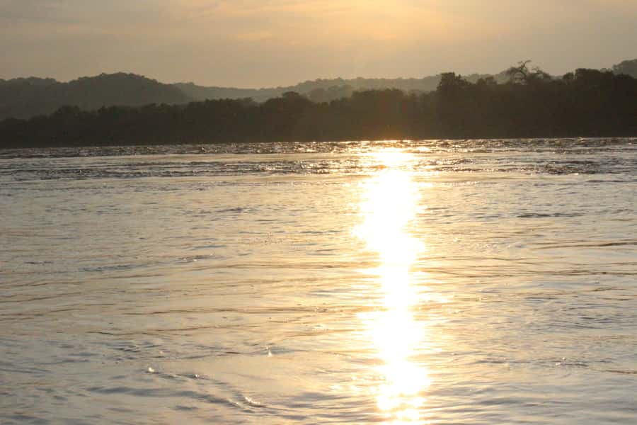 Chobe National Park: Game Drive, Boat Tour, and Lunch - Timing, pace, and practical comfort