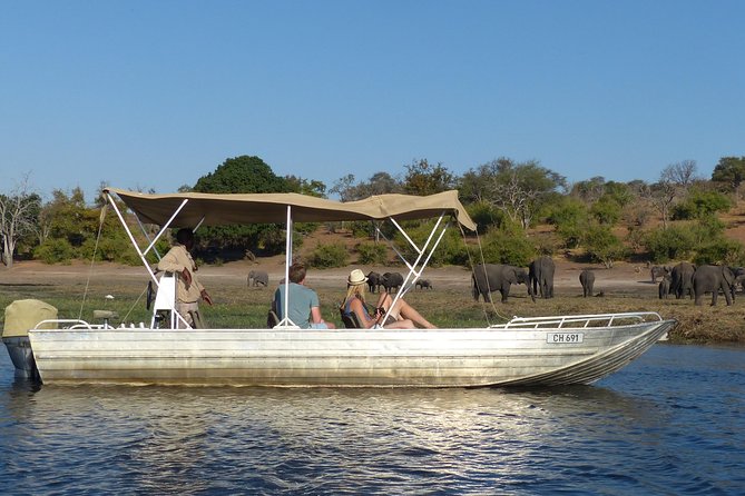 Chobe Sunrise upto Sunset Day trip from Victoria Falls 5AM - 7PM - Sunset, cold air, and the return journey