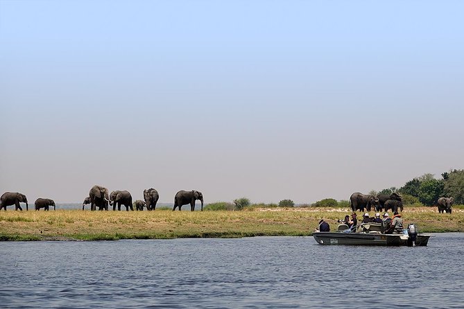 Chobe Sunrise upto Sunset Day trip from Victoria Falls 5AM - 7PM - What the $230 price really covers