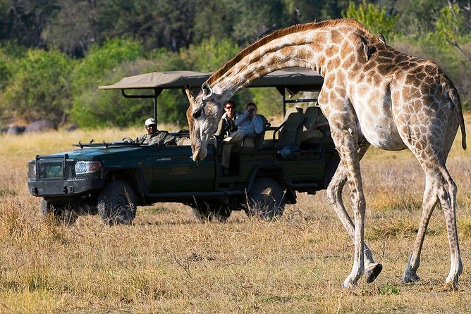 Chobe Sunrise upto Sunset Day trip from Victoria Falls 5AM - 7PM - The practical details that shape the day