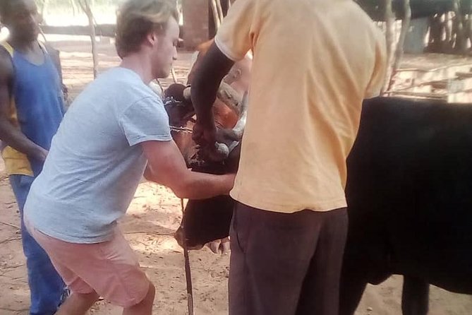 Cultural Village Tour,Interacting With the Communal Villagers (Educational Trip) - Learning about medicines, ceremonies, and chiefdom duties