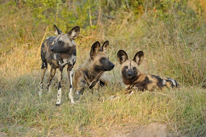 Exclusive full day Chobe game drive safari - Entering Chobe National Park in Botswana