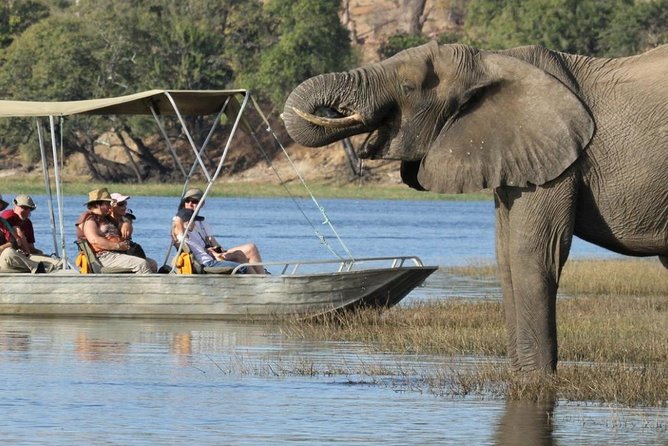 Explore Chobe National Park With a Day Trip from Victoria Falls - Two Hours on the Chobe River