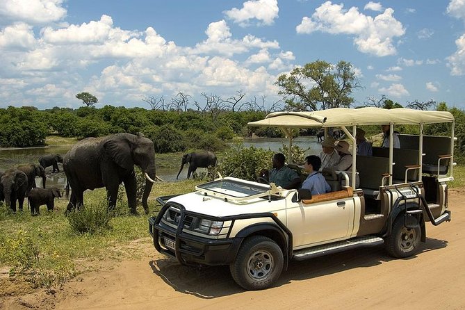 Explore Chobe National Park With a Day Trip from Victoria Falls - Is the $217 Price Good Value?
