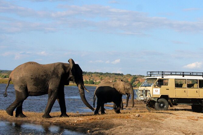 Explore Chobe National Park With a Day Trip from Victoria Falls - Guides, Vehicles, and Group Size