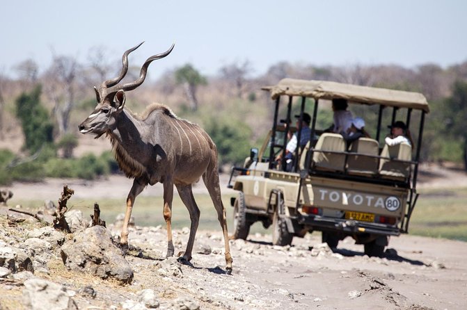 Five-Day Hwange NP, Chobe NP and Victoria Falls Combo - Day 3: Victoria Falls and a Zambezi Sunset