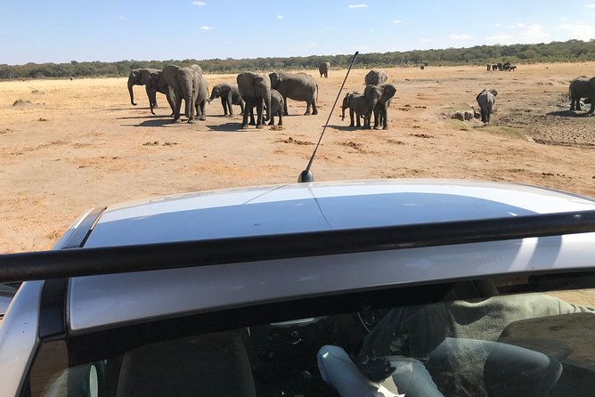 Five-Day Hwange NP, Chobe NP and Victoria Falls Combo - Day 5: A Flexible Finish and Airport Transfer