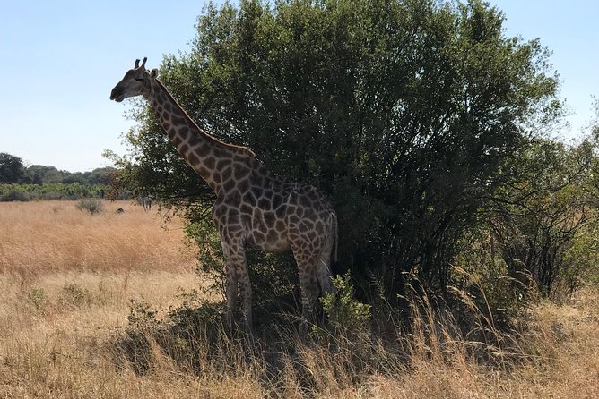 Five-Day Hwange NP, Chobe NP and Victoria Falls Combo - What the $1,875.75 Price Covers
