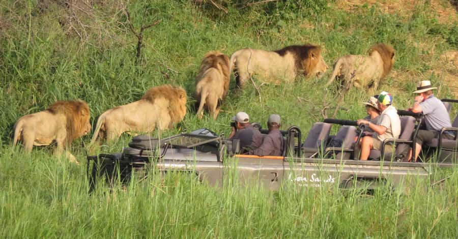 From Kasane: Chobe National Park Full Day Wildlife Safari - Why the Chobe River is the right place to begin