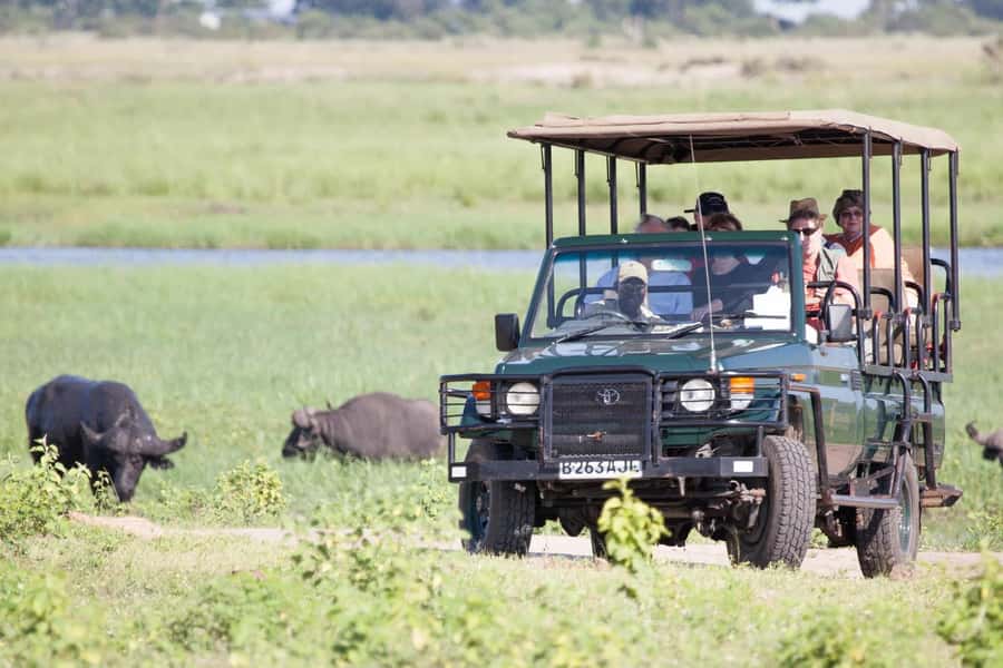 From Kasane: Chobe National Park Full Day Wildlife Safari - The afternoon open 4x4 game drive