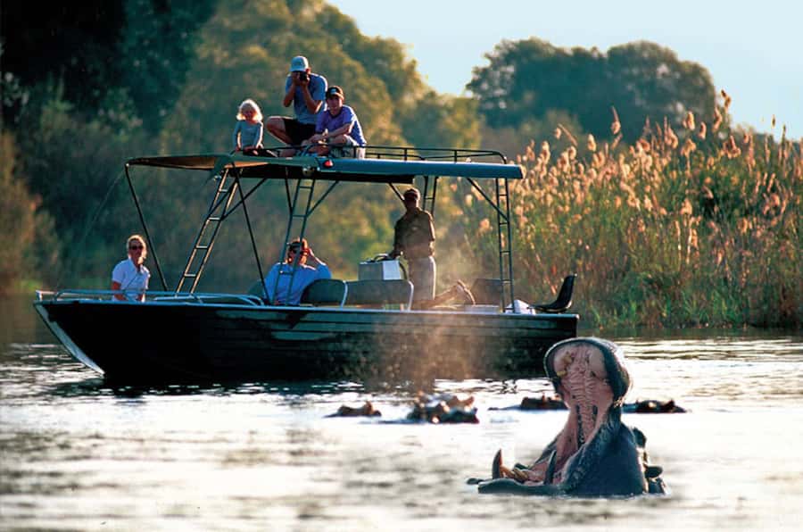 From Livingstone: Victoria Falls River Safari - Rapids first, then a slower search around the islands