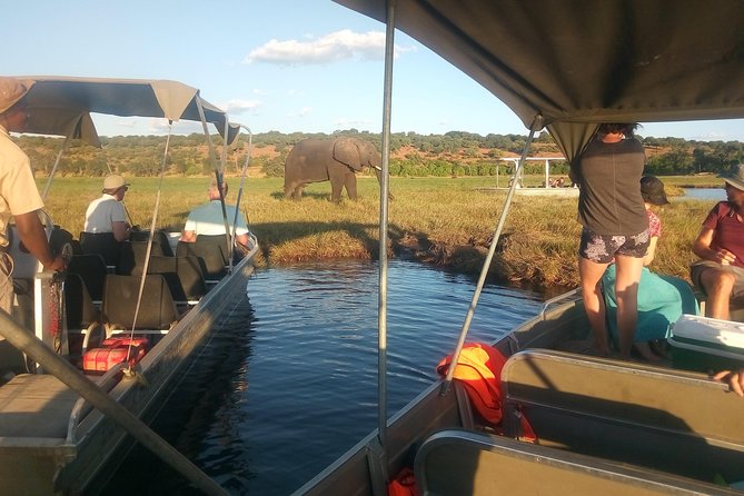 From Victoria Falls: Chobe National Park Small Group Tour - What the $120 Price Really Includes