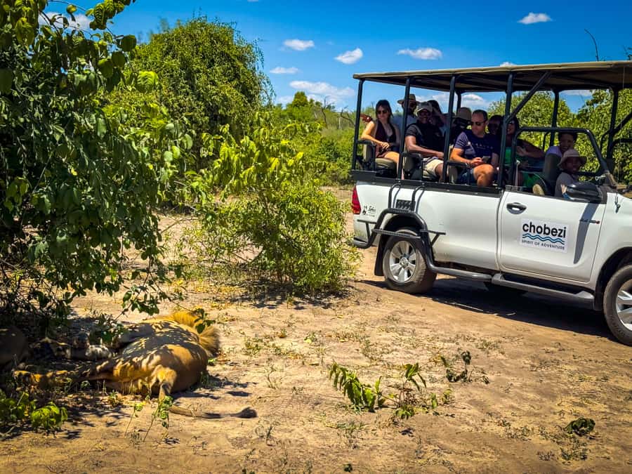 From Victoria Falls: Full Chobe Day trip to Chobe, Botswana - Three hours inside Chobe National Park