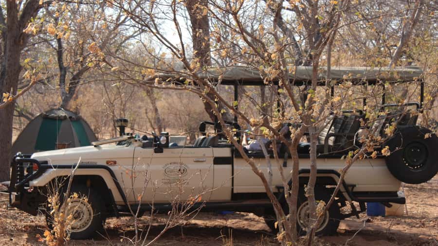 From Victoria Falls: Sunrise to Sunset Chobe Safari - Early wildlife in Zambezi National Park