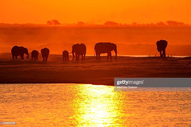 Full Day Chobe National Park Big 5 Safari - From Victoria Falls to the Botswana border