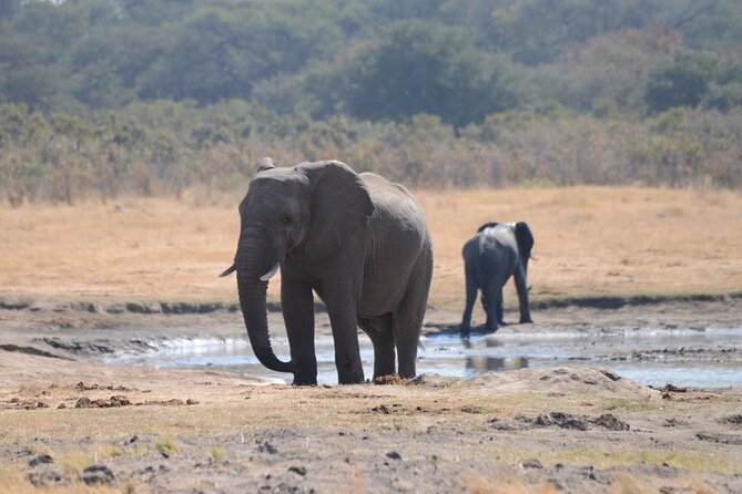 Full Day Chobe Trip with Lunch - Buffet lunch at Cresta Mowana