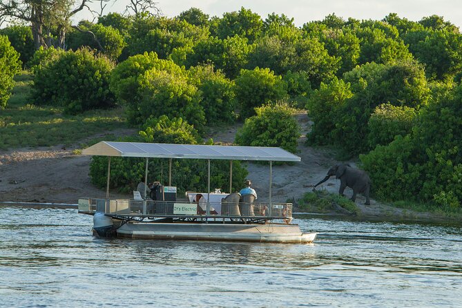 Full-Day Safari Chobe National Park and boat safari - Key points at a glance