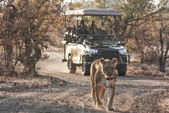 Full-Day Zimbabwe Zambezi National Park Safari & Lunch - Practical details that affect your day