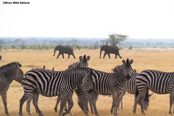 Game Drive (AM / PM) - Zambezi National Park - River Wild Safaris - Entering Zambezi National Park