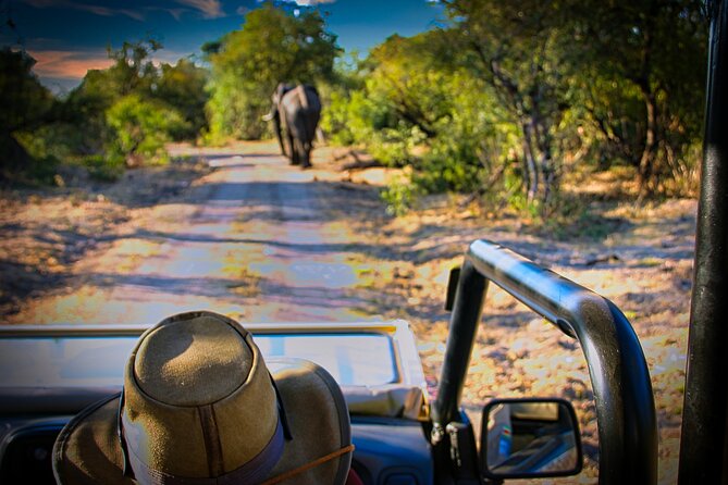 Guided 4x4 Town Safari in Victoria Falls - Riding through Victoria Falls in an open 4x4