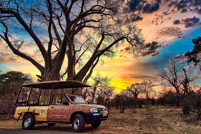 Guided 4x4 Town Safari in Victoria Falls - What the one-hour length really gives you