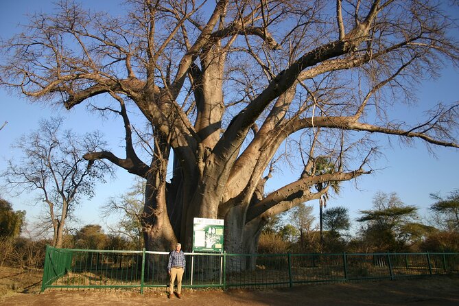 Guided 4x4 Town Safari in Victoria Falls - Who will enjoy this most?